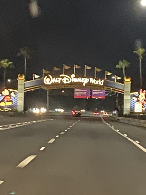 Arriving at the “Most Magical Place on Earth!” 