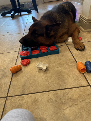 Worn out from this puzzle!