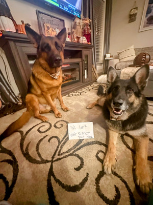 Axel and Otto can't wait to meet their little brother and/or sister!