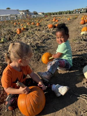 Picking out pumpkins