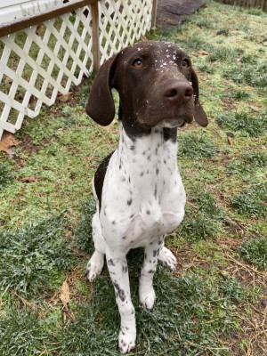 First snow!