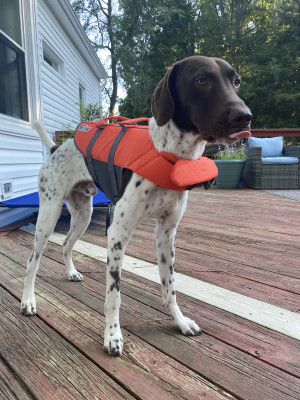 Ready to swim!