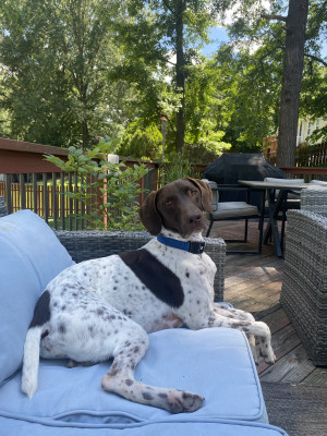 Backyard hang out!