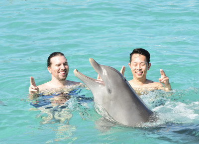 Swimming with dolphins in Punta Cana!