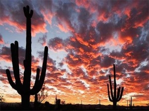 We LOVE beautiful Arizona!