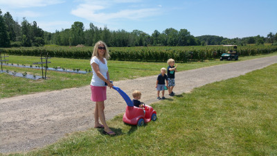 Going rasberry picking.  We love going to different orchards in the summertime.