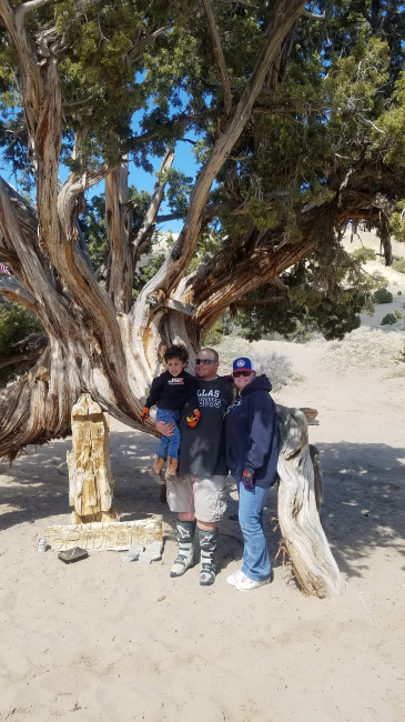 When the wind blows the sand out from below this cedar tree, the trees roots dig deep to stay alive. We love riding out to this cool tree when we are at the sand dunes. Sometimes the wind blows at our feet and we need to dig deep.