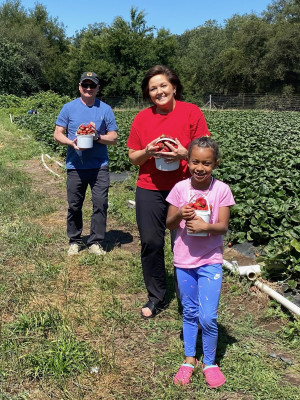 We found an awesome u-pick strawberry farm with Grandma and Grandpa! We made enough strawberry jam to last all of us through the winter. We can’t wait to go again!